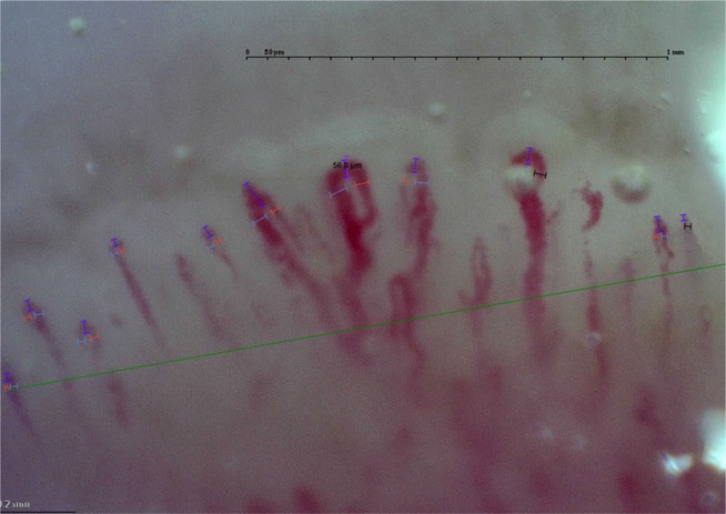 Abstract Image
