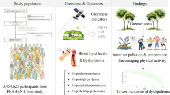 Residential Greenness and the Incidence of Dyslipidemia in Chinese Adults: A Large Prospective Cohort Study