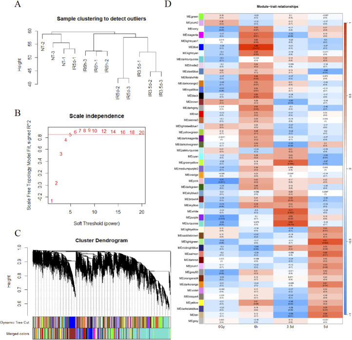 Alterations of DNA Repair and Immune Infiltration in Radiation-Induced Intestinal Injury.