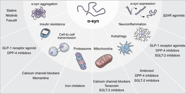 Drug Repositioning and Repurposing for Disease-Modifying Effects in Parkinson's Disease.
