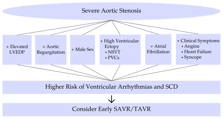 Ventricular Arrhythmias in Severe Aortic Stenosis Prior to Aortic Valve Replacement: A Literature Review.