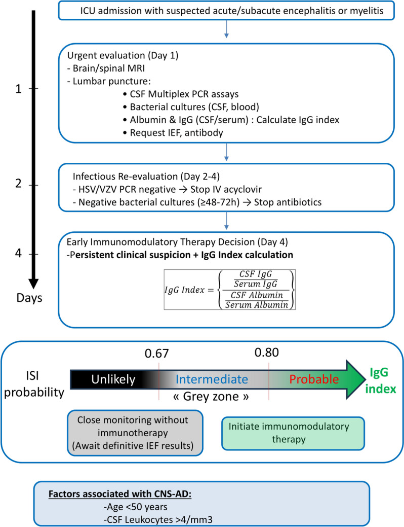 Predicting intrathecal immunoglobulin synthesis in the ICU: a comparative study of IgG-based indexes.