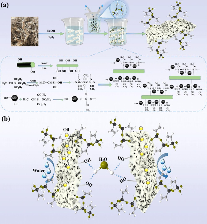 Sustainable hydrophobic bio-based adsorbent from modified sphagnum moss for efficient oil-water separation.