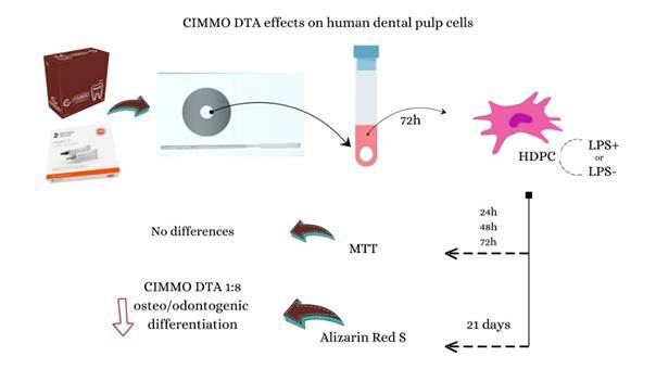 Cytotoxicity and bioactivity of CIMMO DTA restorative cement in human activated-dental pulp cells in vitro.