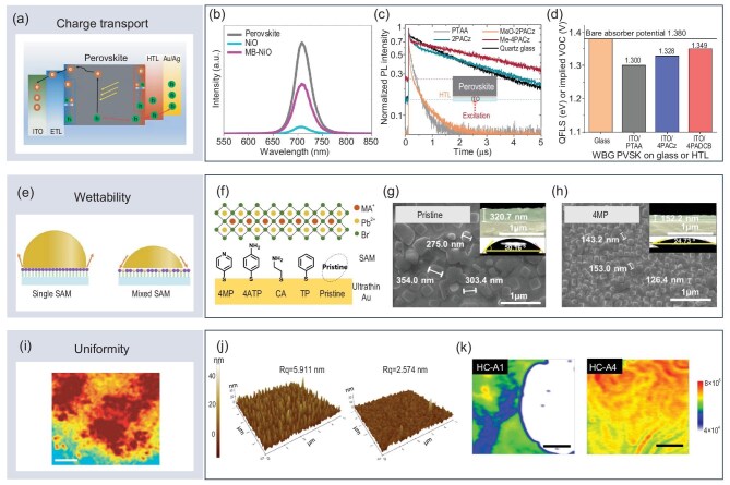 Role of self-assembled molecules in halide perovskite optoelectronics: an atomic-scale perspective.