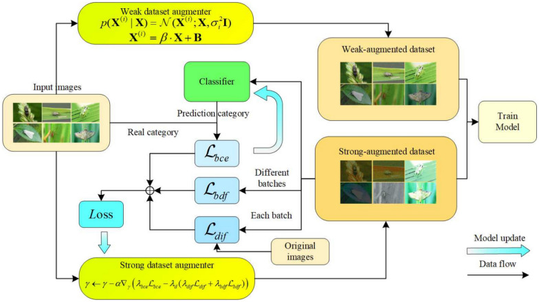 Pest detection in dynamic environments: an adaptive continual test-time domain adaptation strategy.
