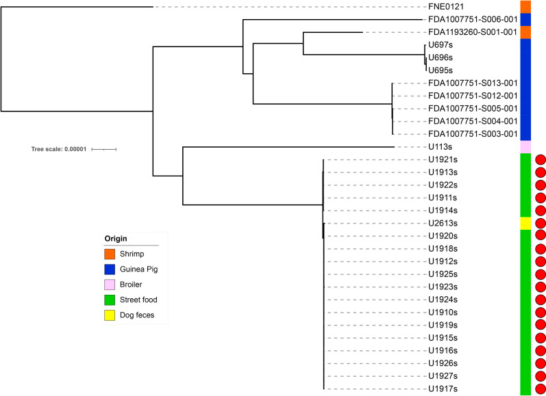 Salmonella isolated from street foods and environment of an urban park: A whole genome sequencing approach.