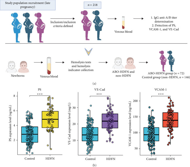 P-Selectin, Vascular Endothelial Cadherin, and Vascular Cell Adhesion Molecule-1 as Novel Biomarkers for ABO Hemolytic Disease of the Fetus and Newborn.