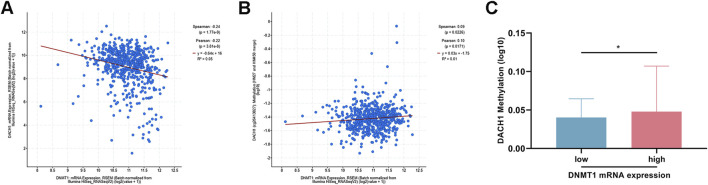 Aberrant DNMT1-mediated DACH1 methylation is associated with colorectal adenoma-to-carcinoma progression.