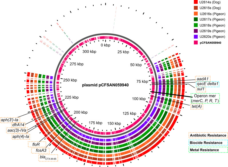 Salmonella isolated from street foods and environment of an urban park: A whole genome sequencing approach.
