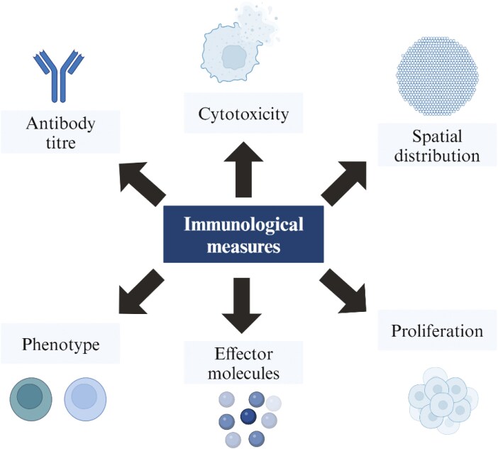 Cancer vaccine trial evaluations: immunobridging and potential immunological endpoints.