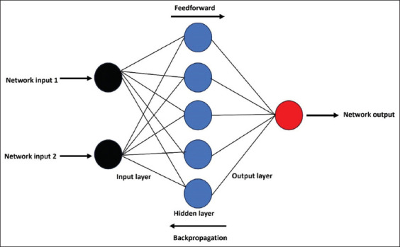 Artificial intelligence for diagnosing bladder pathophysiology: An updated review and future prospects.