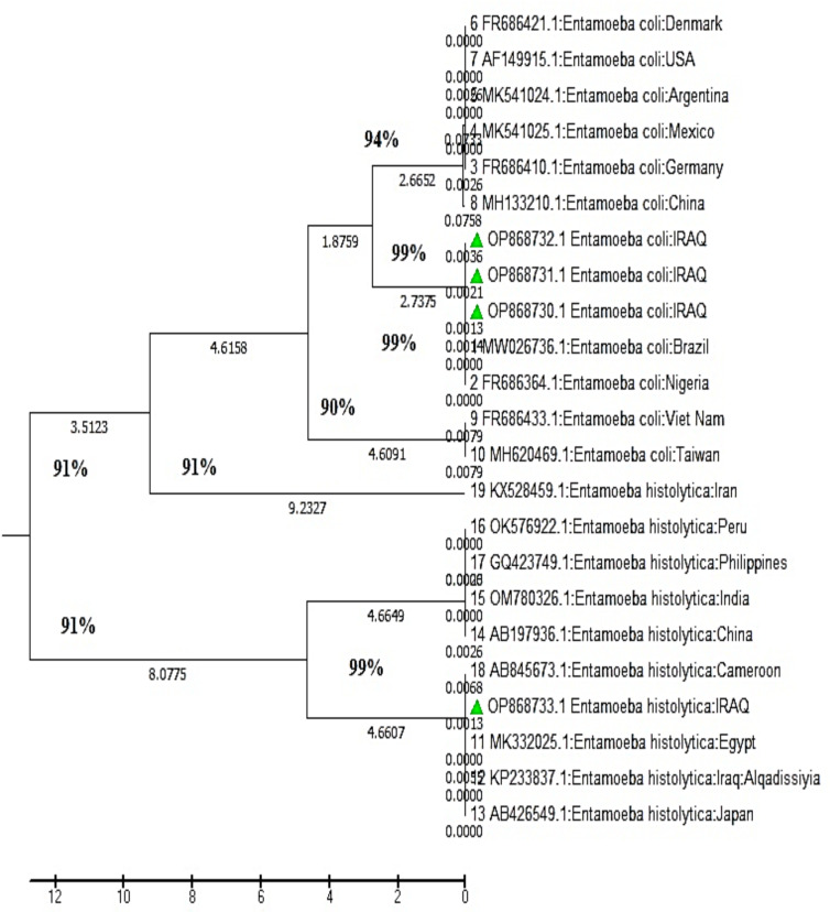 Identification of <i>Entamoeba</i> Species in Diarrheal Samples Using Sequence Analysis and Nested Multiplex PCR.