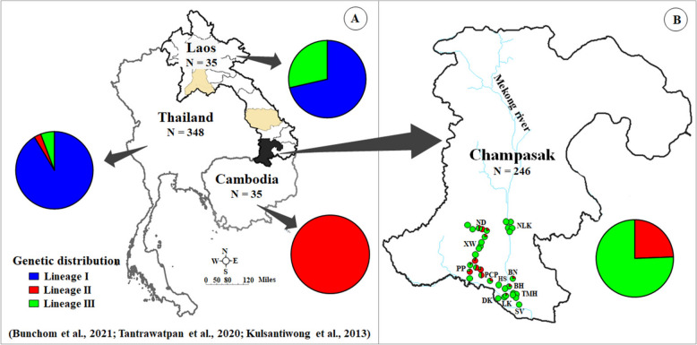 Genetic structure and geographical distribution of Bithynia siamensis sensu lato from Khong and Mounlapamok districts, Champasak Province, Laos.