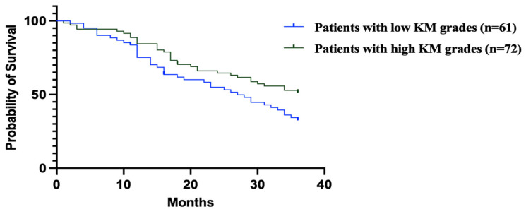 Prognostic Impact of Klintrup-Mäkinen (KM) Score in Gastric Cancer and Its Association with Pathological Parameters.