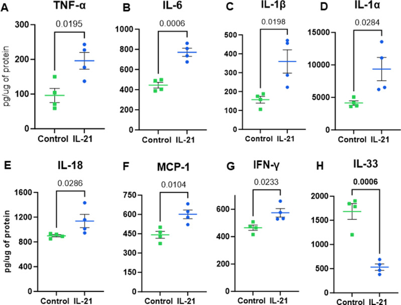 Chronic IL-21 drives neuroinflammation and promotes lipid accumulation in microglia.