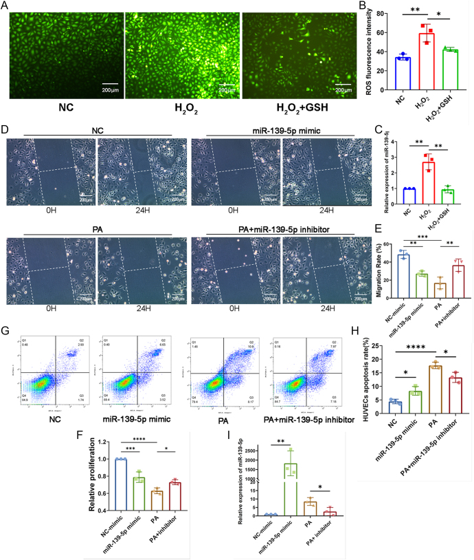 Inhibition of microRNA-139-5p by glucagon-like peptide-1 ameliorates oxidative stress-induced vascular endothelial cell damage via targeting SOD1/GCLc.