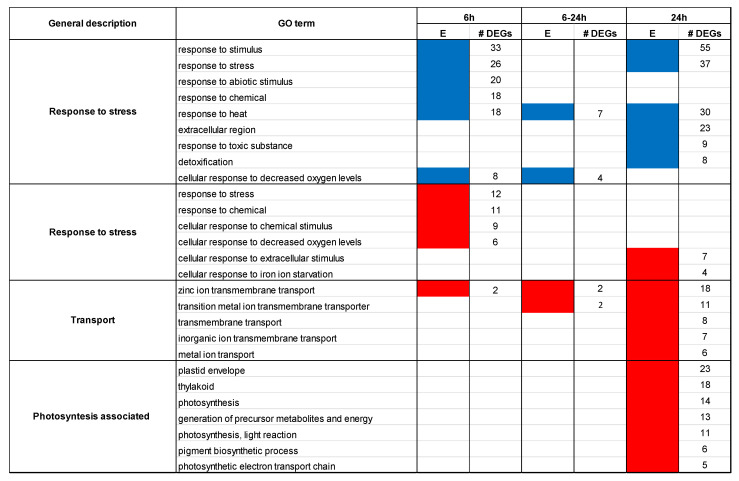 <i>Arabidopsis thaliana</i> Roots Exposed to Extracellular Self-DNA: Evidence of Epigenetic Effects.