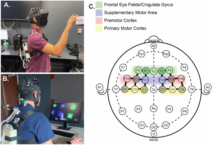 Learning selection-based augmented reality interactions across different training modalities: uncovering sex-specific neural strategies.