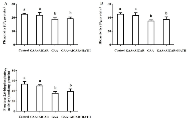 Guanidinoacetic acid regulated postmortem muscle glycolysis associated with AMPK signaling and protein acetylation.