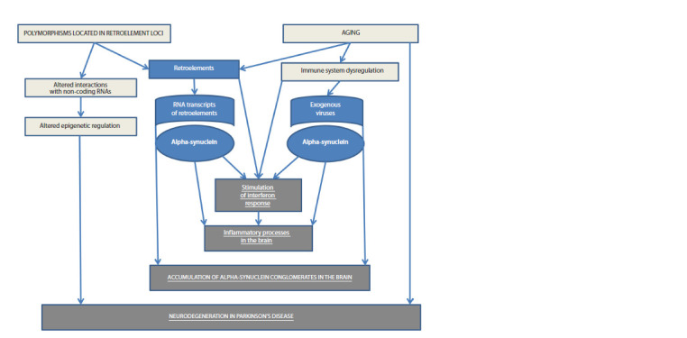 The role of retroelements in Parkinson's disease development.