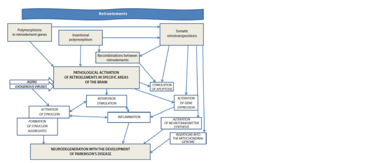 The role of retroelements in Parkinson's disease development.