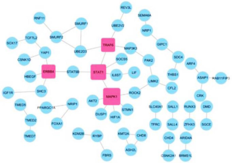 Exploring the Role of hsa_circ_0052112 as a Potential Biomarker in Breast Cancer: Insights from Experimental and <i>In Silico</i> Analyses.
