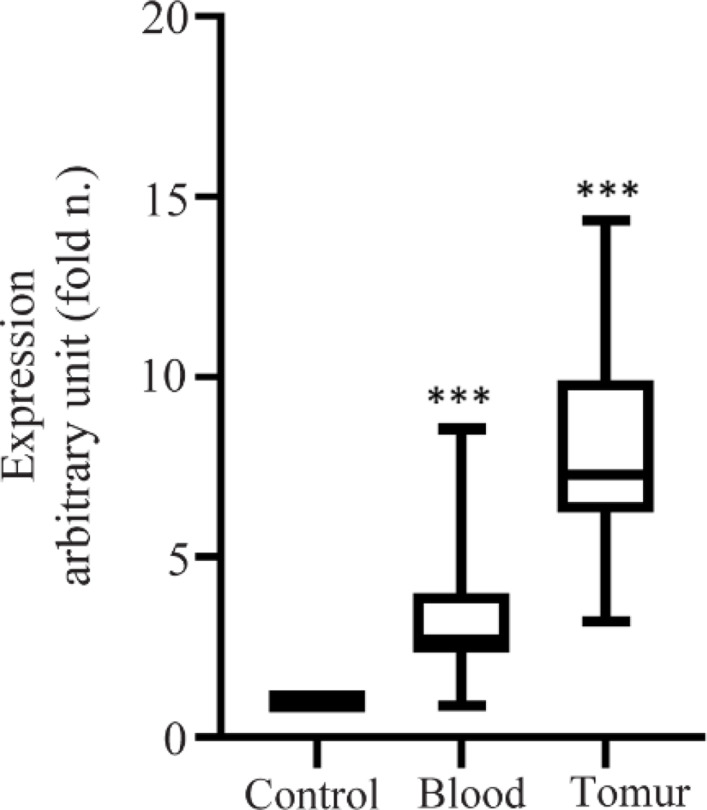 Exploring the Role of hsa_circ_0052112 as a Potential Biomarker in Breast Cancer: Insights from Experimental and <i>In Silico</i> Analyses.
