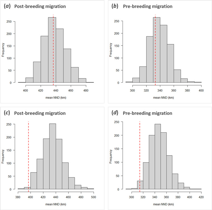 Route flexibility is associated with headwind minimization in a long-distance migratory seabird.