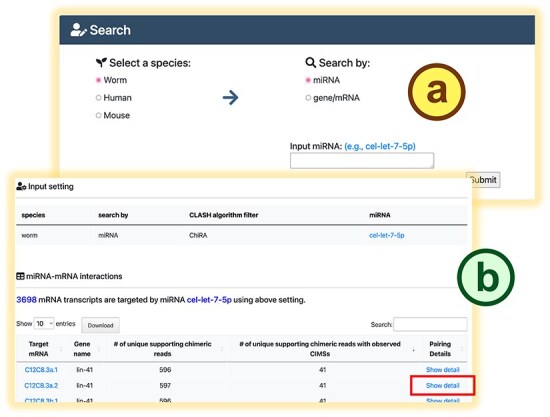 mirTarCLASH: a comprehensive miRNA target database based on chimeric read-based experiments.