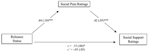 Biased Beliefs About White Releasees' Sensitivity to Social Pain.