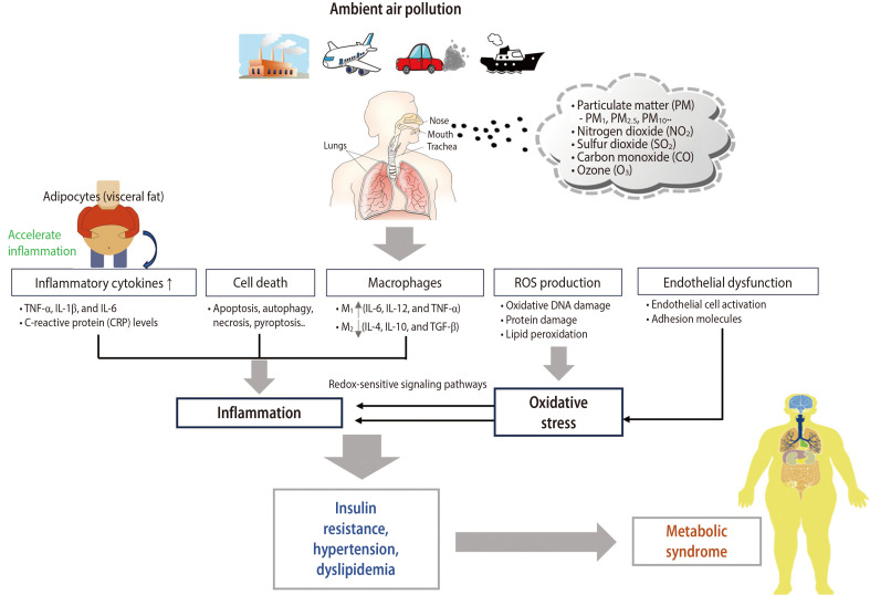 Long-Term Exposure to Ambient Air Pollution and Metabolic Syndrome and Its Components.