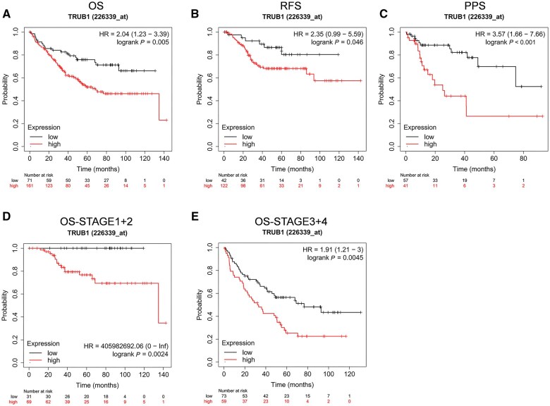 TRUB1 is a novel biomarker for promoting malignancy in colorectal cancer via NFκB signaling.