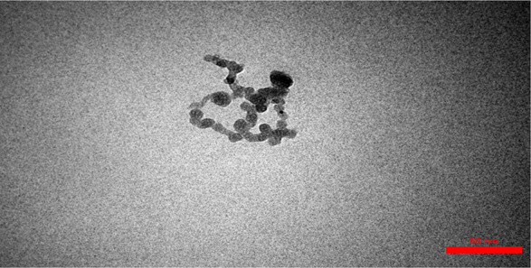 In Vitro Antimalarial Activity of Chloroquine-Crocus Sativus Conjugated to Chitosan Nanocomposits against 3D7 and K1 Strains of <i>Plasmodium falciparum</i>.