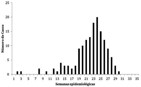 [Epidemiological, clinical, and diagnostic analysis of an outbreak of Parvovirus B19 infection in Mallorca Island].