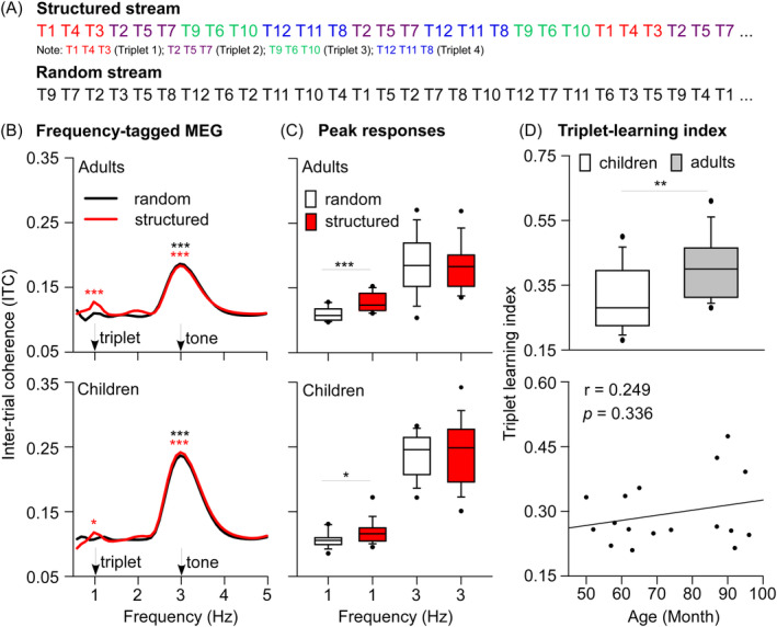 Neural Tracking to Auditory Statistical Structures in Children.