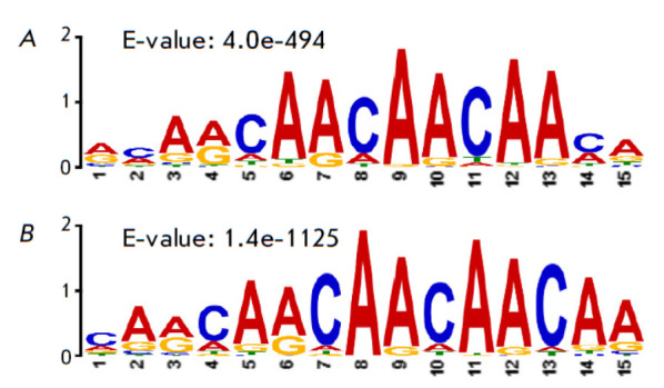 The Drosophila Zinc Finger Protein Aef1 Colocalizes with Enhancers and Is Involved in the Transcriptional Regulation of Numerous Genes.