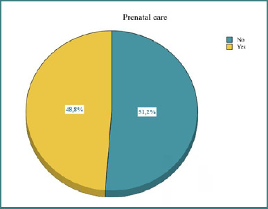 The impact of inadequate prenatal care on maternal anemia and pregnancy outcomes in Romania.