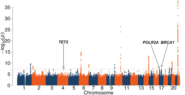 Genetic determinants of proteomic aging.