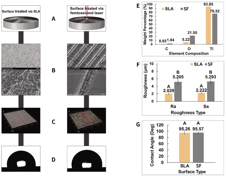 Effects of dental implant surface treated with sandblasting large grit acid-etching and femtosecond laser on implant stability, marginal bone volume, and histological results in a rabbit model.