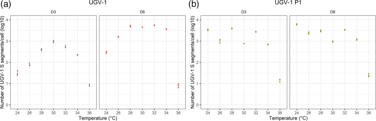 Temperature affects reptarenavirus growth in a permissive host-derived <i>in vitro</i> model.