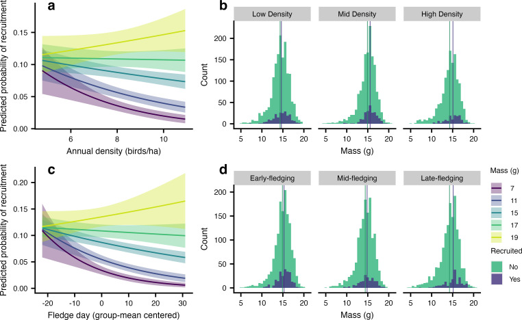 Population density and timing of breeding mediate effects of early life conditions on recruitment.