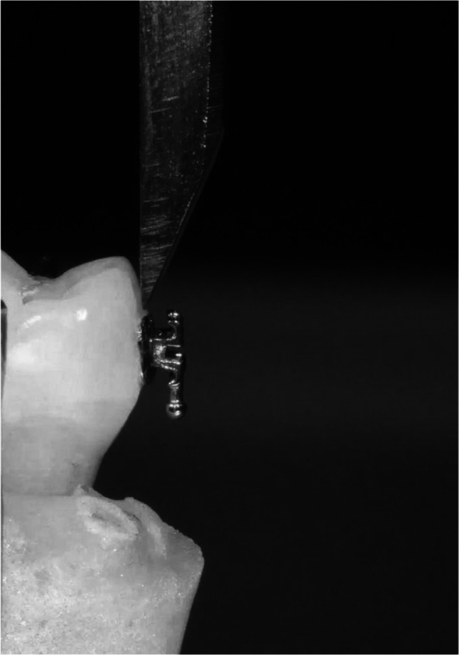 Abstract Image