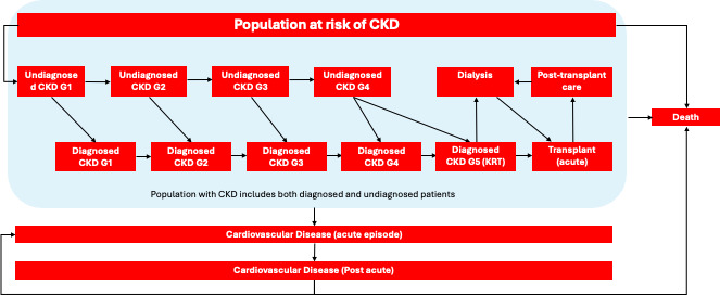 Economic Evaluation of Population-Level Chronic Kidney Disease Interventions in the UK National Health Service.