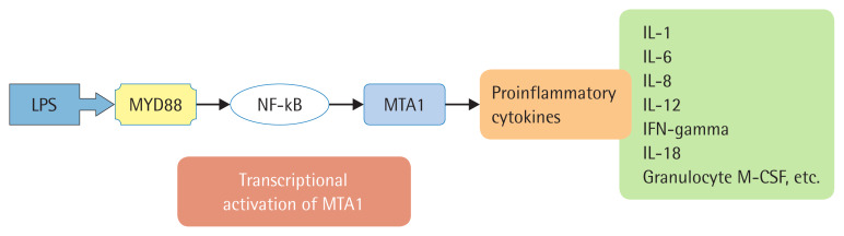 Metastasis-associated protein 1: a druggable target in cancer treatment.