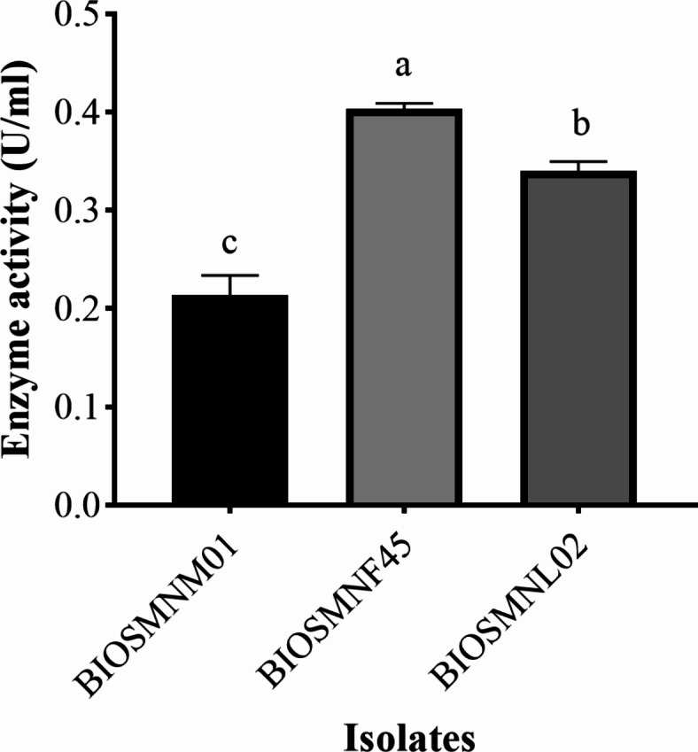 Improved production of thermostable pectinase from novel Bacillus siamensis (BIOSMNF45) using computational-conventional approach.