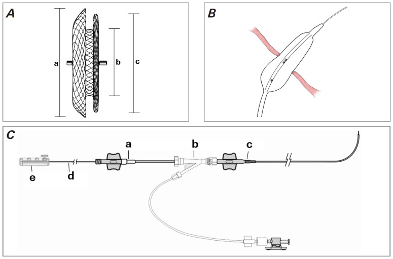 Cardiovascular Imaging of the Left Atrium in Patients With Structural Heart Disease: What Does the Interventionalist Need to Know?