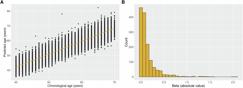 Genetic determinants of proteomic aging.