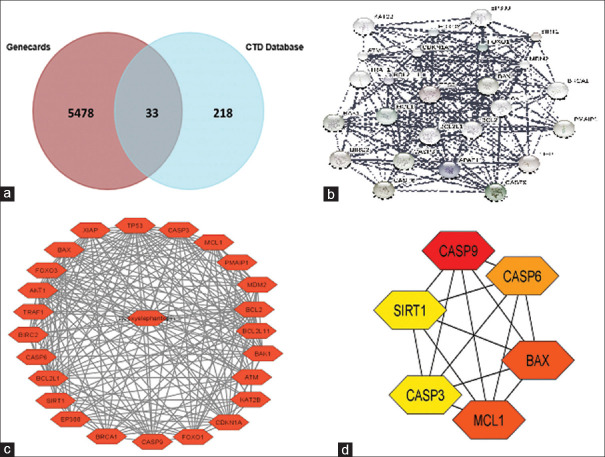 Deoxyelephantopin induces cell death in oral cancer cells via the downregulation of AKT1-mTOR-mediated mechanisms.