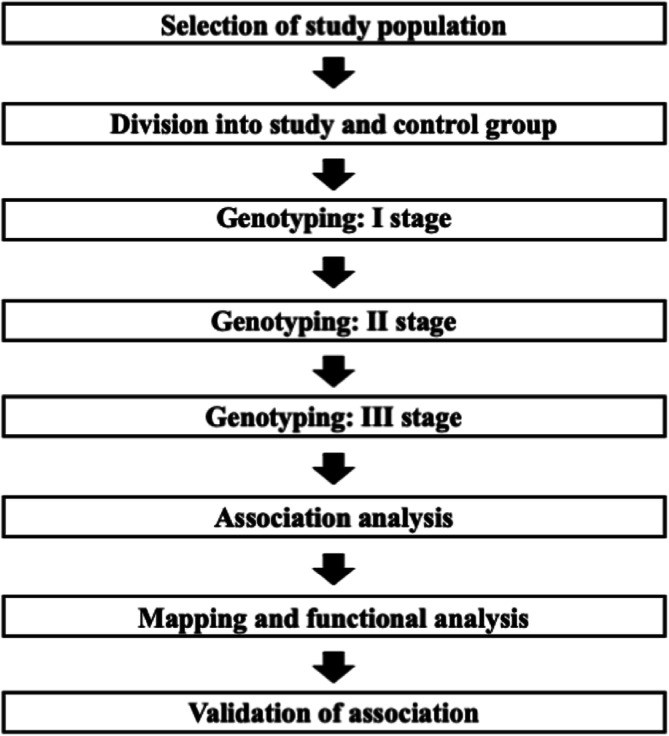 Insights into genetic modifiers of breast cancer risk in carriers of BRCA1 and BRCA2 pathogenic variants.